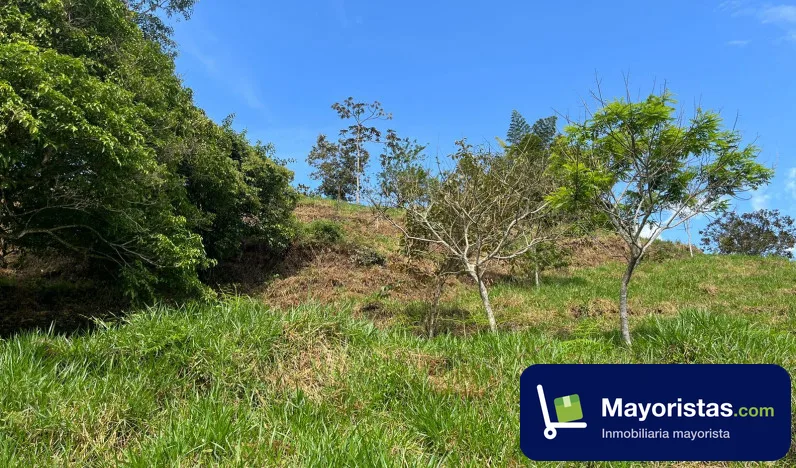 Finca ganadera de 8 ha en Nimaima, Cundinamarca — foto 10 de 10