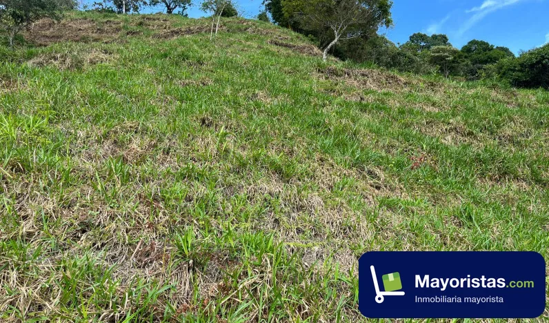 Finca ganadera de 8 ha en Nimaima, Cundinamarca — foto 9 de 10