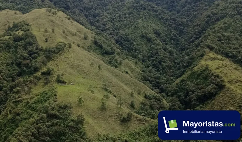 Finca ganadera de 580 ha en Marulanda, Caldas