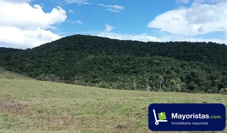 Finca ganadera de 202 ha en Oiba, Santander