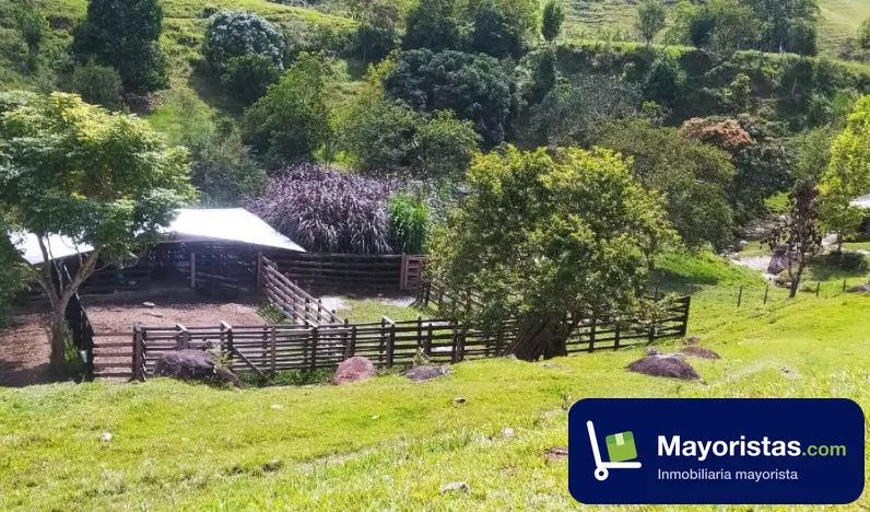 Finca ganadera de 240 ha en Yolombó, Antioquia — foto 10 de 10