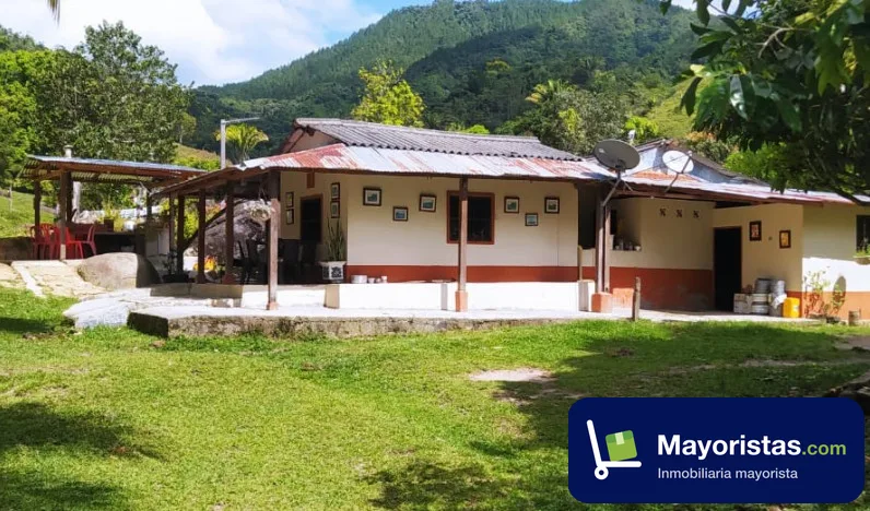 Finca ganadera de 240 ha en Yolombó, Antioquia — foto 9 de 10