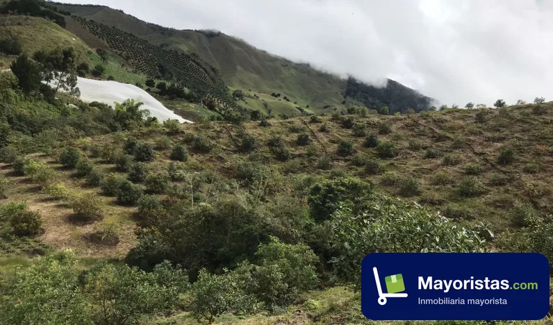 Finca agrícola de 35 ha en Urrao, Antioquia