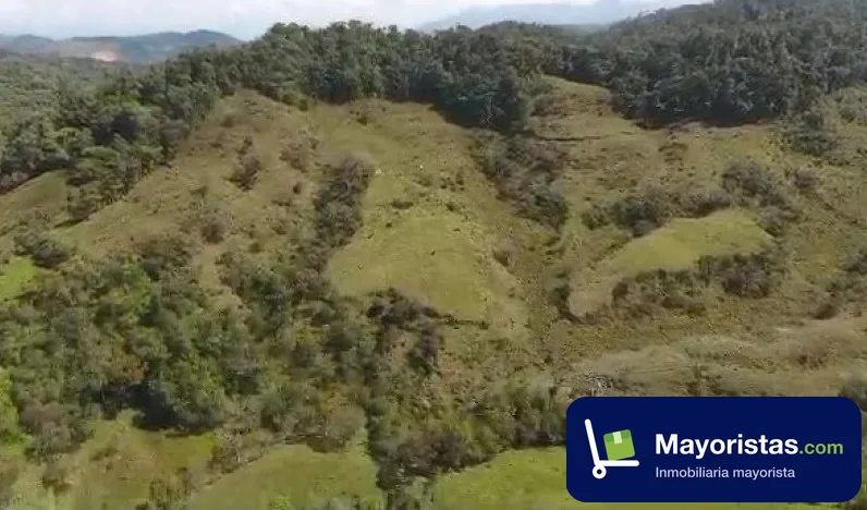 Finca ganadera de 42 ha en Cocorná, Antioquia