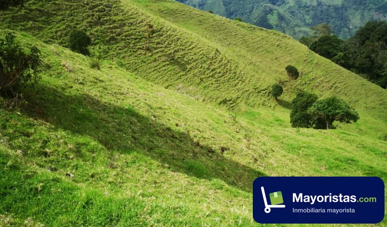 Finca ganadera de 10 ha en Herveo, Tolima