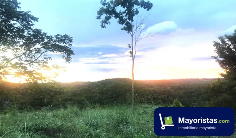 Finca ganadera de 19 ha en Montería, Córdoba