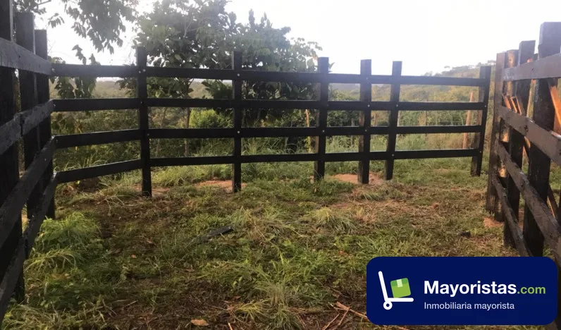 Finca ganadera de 19 ha en Montería, Córdoba — foto 9 de 10