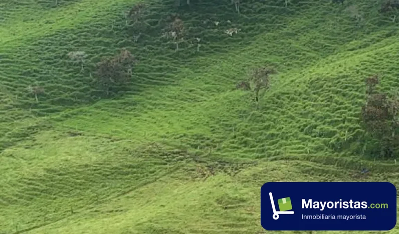 Finca ganadera de 49 ha en Barbosa, Antioquia — foto 10 de 10