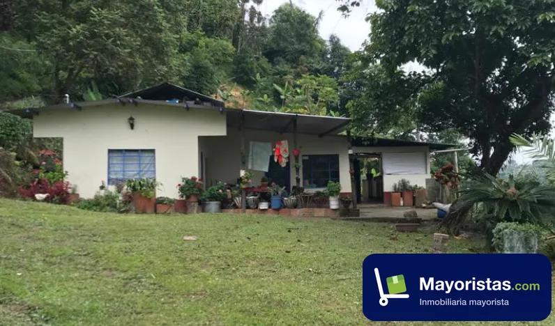 Finca cafetera de 6,8 ha en Sasaima, Cundinamarca — foto 10 de 10