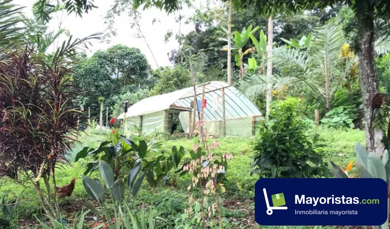 Finca cafetera de 6,8 ha en Sasaima, Cundinamarca — foto 9 de 10