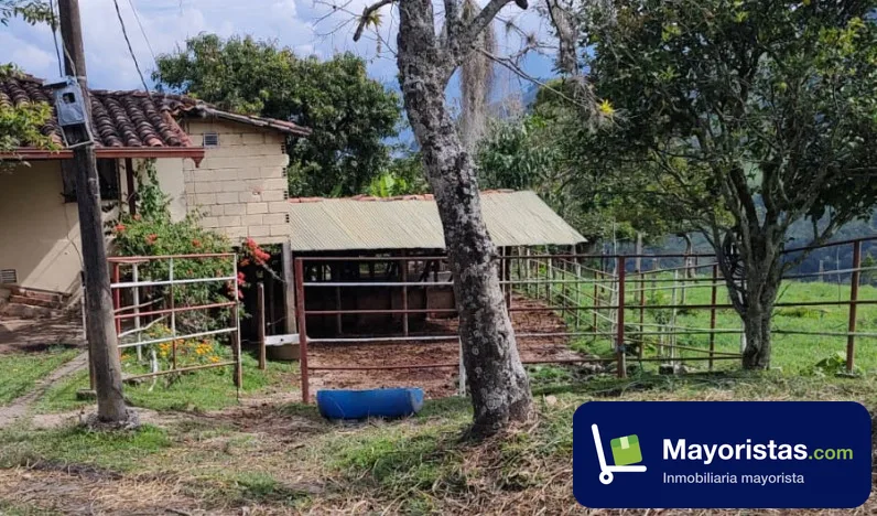 Finca ganadera de 3,9 ha en Titiribí, Antioquia — foto 9 de 9