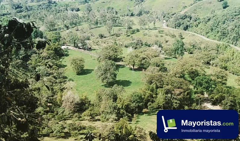 Finca ganadera de 220 ha en Frontino, Antioquia