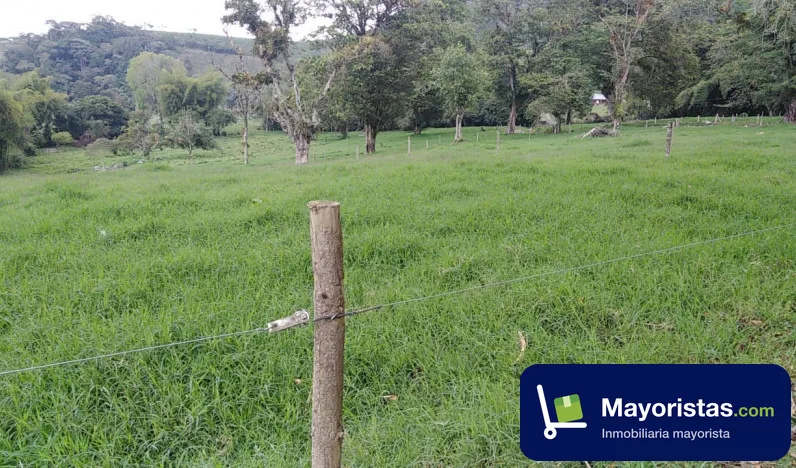 Finca ganadera de 220 ha en Frontino, Antioquia — foto 9 de 10