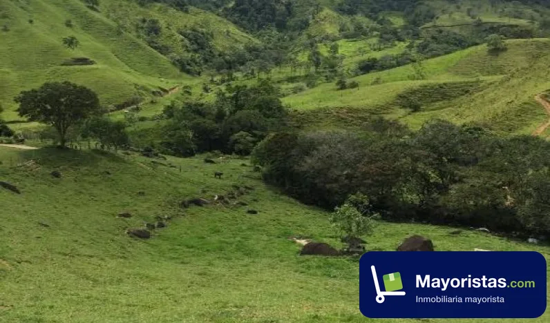 Finca ganadera de 170 ha en Yolombó, Antioquia