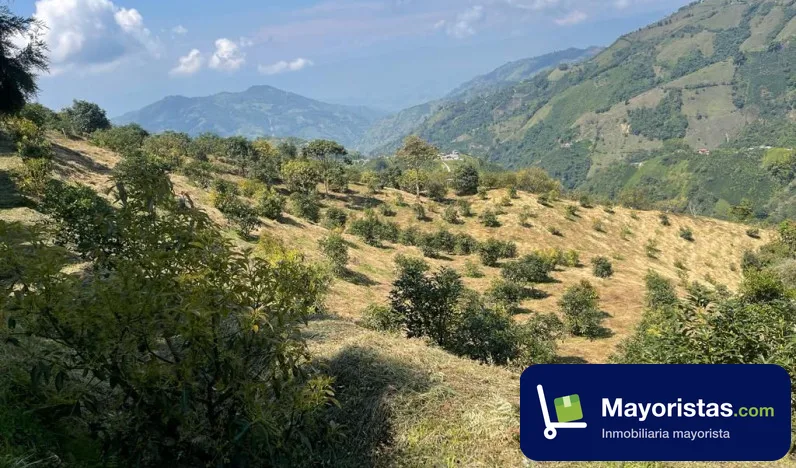 Finca cafetera de 70 ha en Aranzazu, Caldas