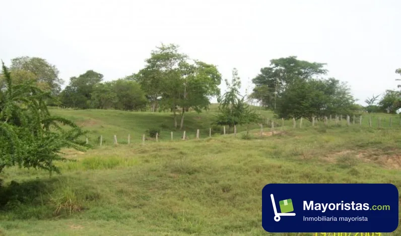 Finca ganadera de 150 ha en Fundacion, Magdalena