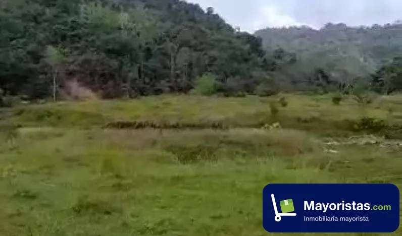 Finca ganadera de 531 ha en Segovia, Antioquia