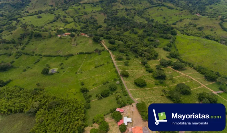 Finca ganadera de 76,2 ha en Obando, Valle del Cauca