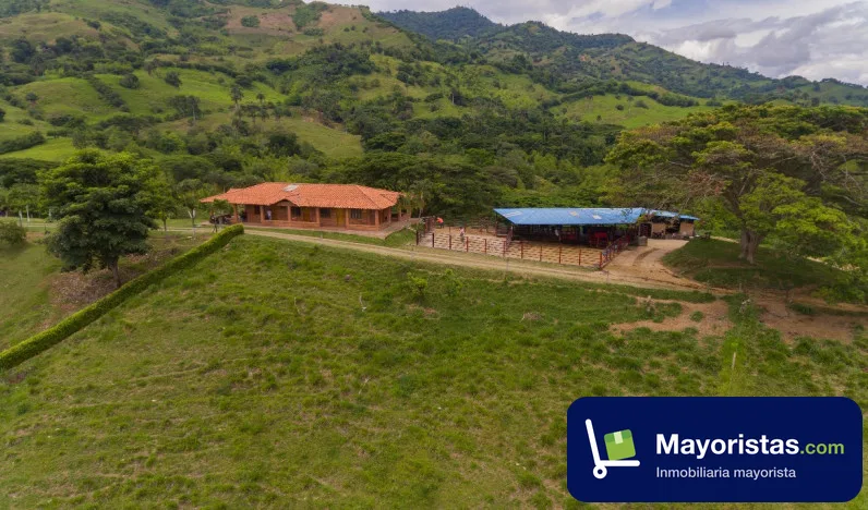 Finca ganadera de 76,2 ha en Obando, Valle del Cauca — foto 9 de 9