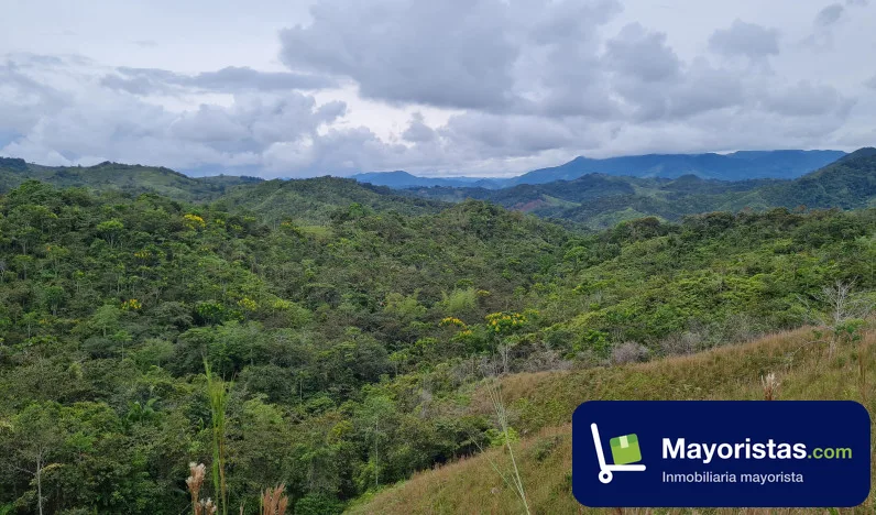 Finca agrícola de 598 ha en San Roque, Antioquia — foto 9 de 10