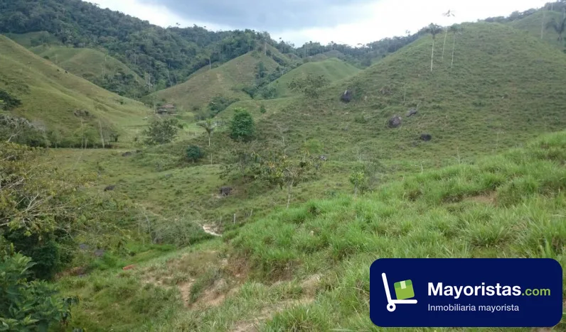 Finca ganadera de 147,6 ha en San Luis, Antioquia
