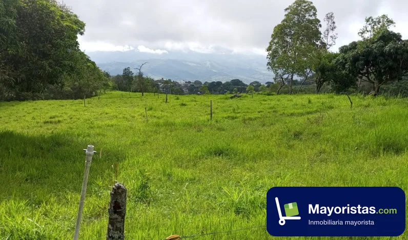Finca ganadera de 12,5 ha en Íquira, Huila