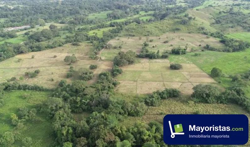 Finca ganadera de 650 ha en San Alberto, Cesar