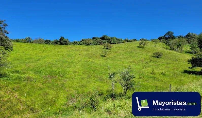 Finca ganadera de 52 ha en Charalá, Santander
