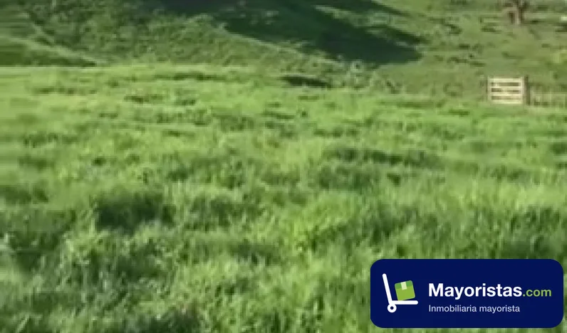 Finca ganadera de 390 ha en Yondó, Antioquia