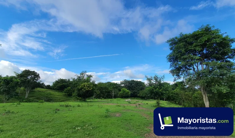 Finca ganadera de 8 ha en Sincelejo, Sucre