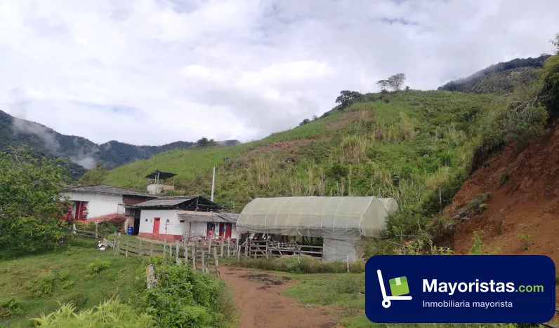 Finca cafetera de 126 ha en Salgar, Antioquia