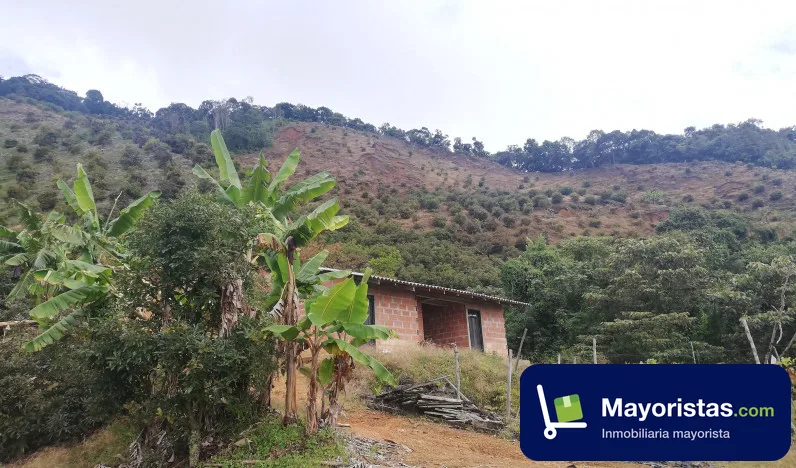 Finca cafetera de 126 ha en Salgar, Antioquia — foto 10 de 10
