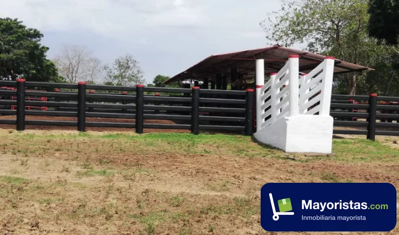 Finca ganadera de 2.500 ha en Puerto López, Meta — foto 10 de 10