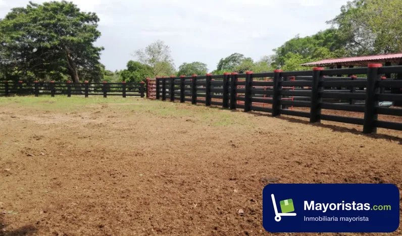 Finca ganadera de 2.500 ha en Puerto López, Meta — foto 9 de 10