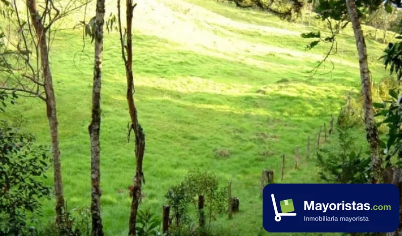 Finca ganadera de 57,6 ha en Supatá, Cundinamarca