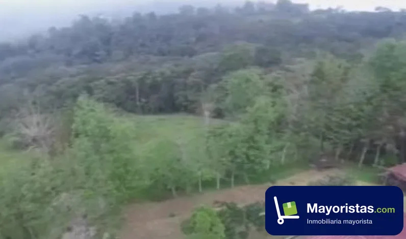 Finca ganadera de 57,6 ha en Supatá, Cundinamarca — foto 10 de 10