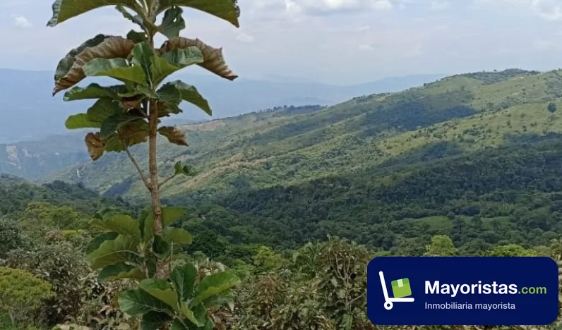 Finca ganadera de 10 ha en Puli, Cundinamarca