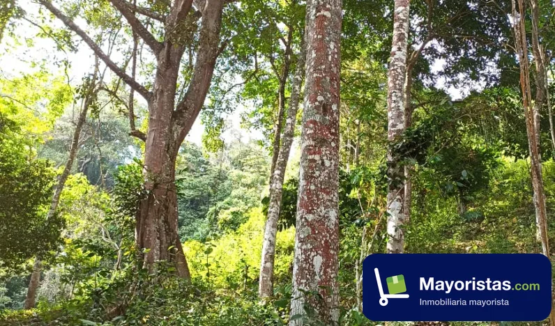 Finca ganadera de 10 ha en Puli, Cundinamarca — foto 9 de 10