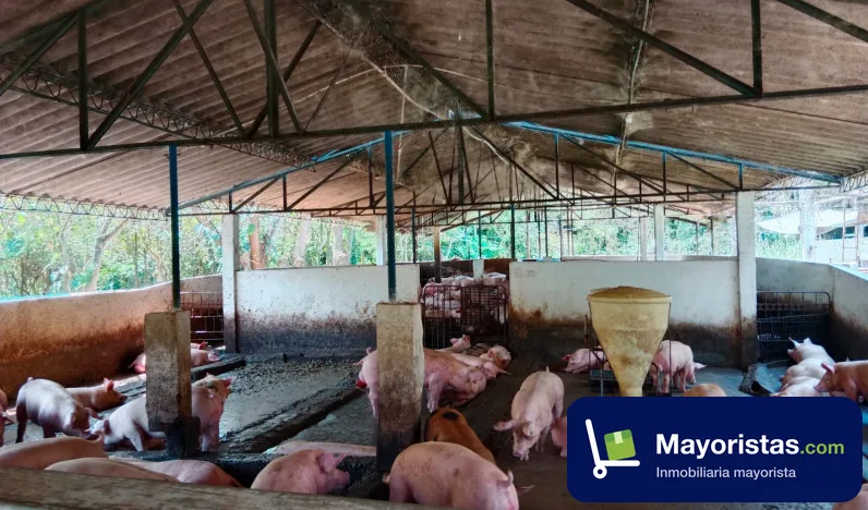 Finca agrícola de 2 ha en Nilo, Cundinamarca