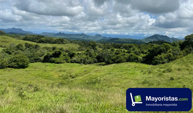 Finca ganadera de 78 ha en Victoria, Caldas