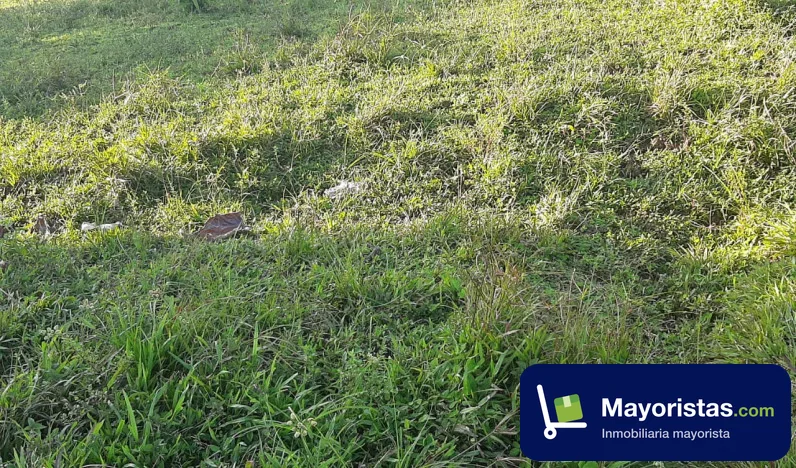 Finca ganadera de 57 ha en Florencia, Caquetá
