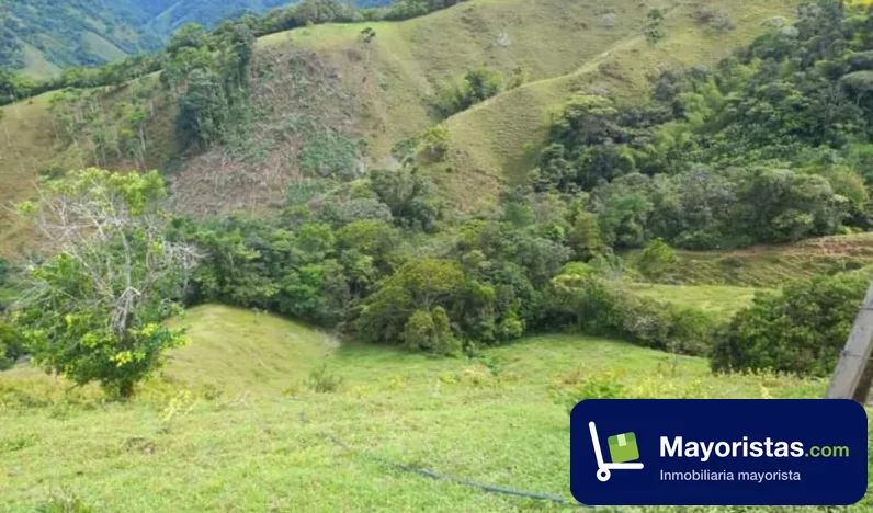 Finca ganadera de 148,6 ha en Caracolí, Antioquia