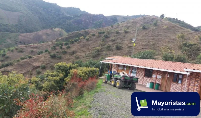 Finca agrícola de 30 ha en Abejorral, Antioquia — foto 10 de 10