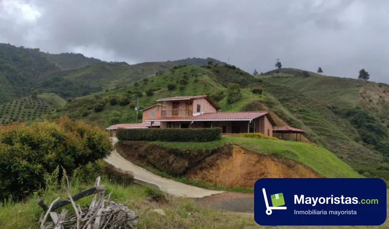 Finca agrícola de 30 ha en Abejorral, Antioquia — foto 9 de 10