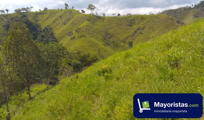 Finca ganadera de 57 ha en San Luis, Antioquia