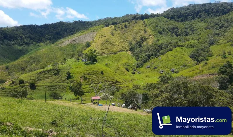 Finca ganadera de 112 ha en Yolombó, Antioquia