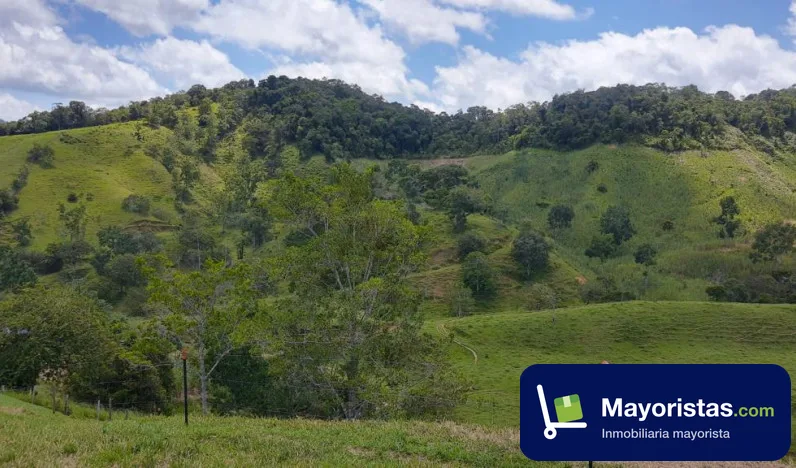 Finca ganadera de 112 ha en Yolombó, Antioquia — foto 10 de 10