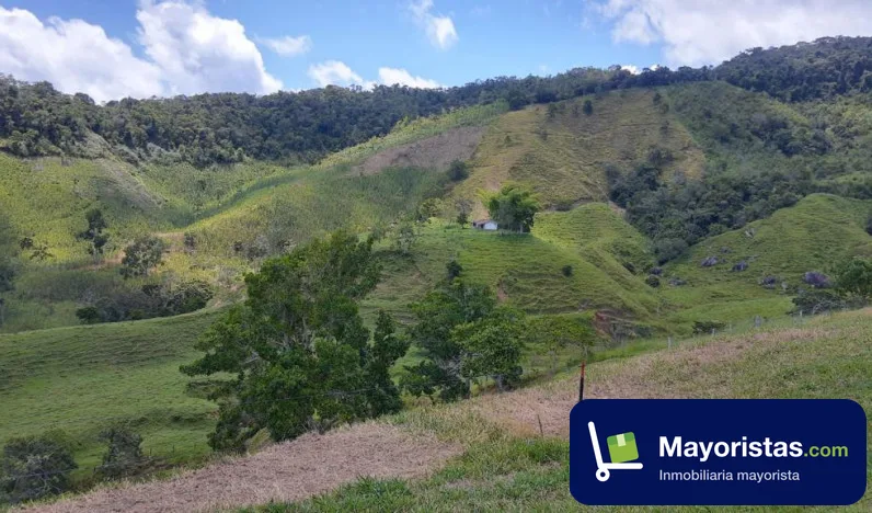 Finca ganadera de 112 ha en Yolombó, Antioquia — foto 9 de 10