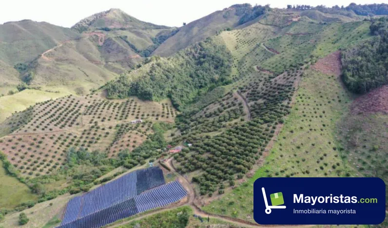Finca ganadera de 80 ha en Aguadas, Caldas