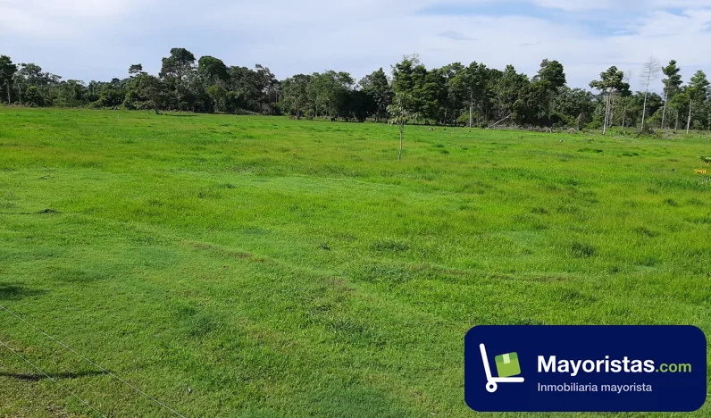 Finca ganadera de 18 ha en Sabana de Torres, Santander